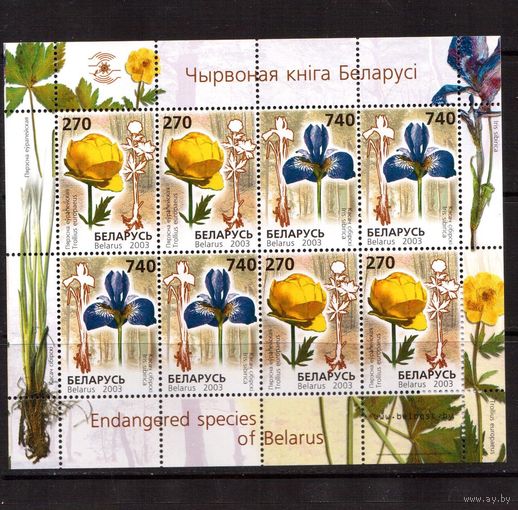 Беларусь-2003,(Мих.490-491) , ** , Флора, Цветы, м/л