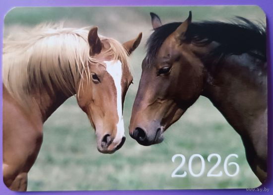 Лошади. Календарик, глянец, 2026. Траско