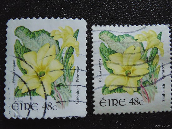 Ирландия. Флора.