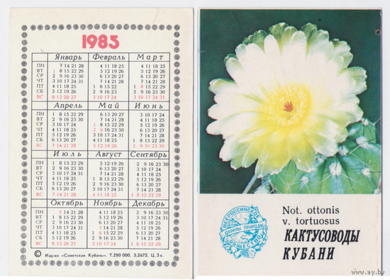 Календарь Кактусоводы Кубани 1985