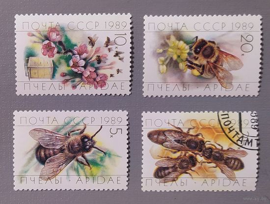 Пчелы. СССР, 1989
