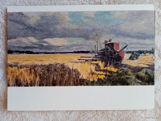 1959. соцреализм. Соколов. Жатва началась