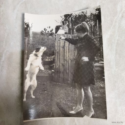 Фотография. История СССР в лицах. Девушка с собакой.