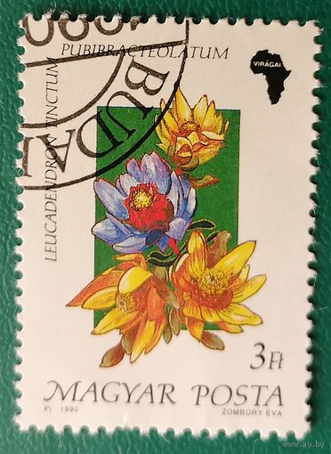 Флора Цветы 1 1990