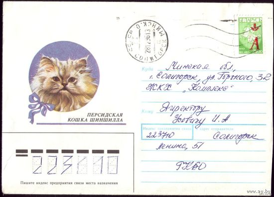 1990 год Шиншилла 3