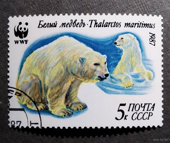Марка СССР 1987 год Белый медведь