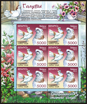 Птицы, голуби, блок (лист), Беларусь, 2011 - марки, фауна