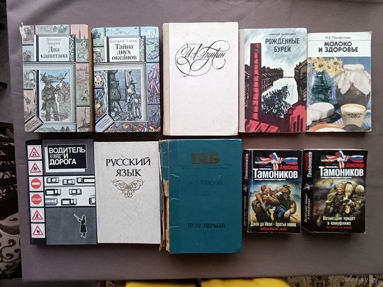 10 книг в разном состоянии для дачной библиотеки одним лотом за 7 рублей! (3558)