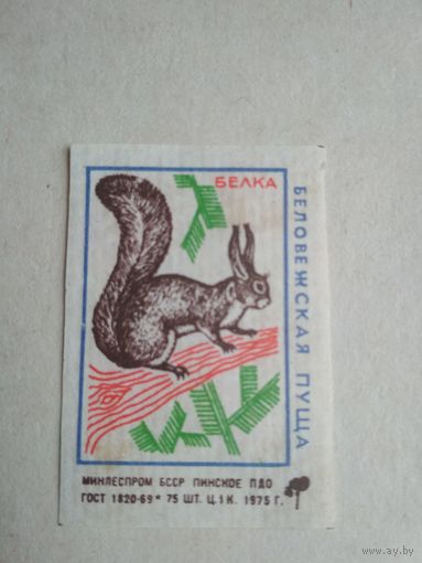 Спичечные этикетки ф.Пинск. Беловежская Пуща. Белка. 1975 год