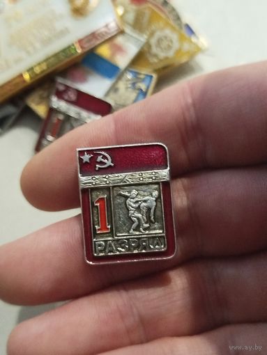 1 разряд,дзюдо ,цельный