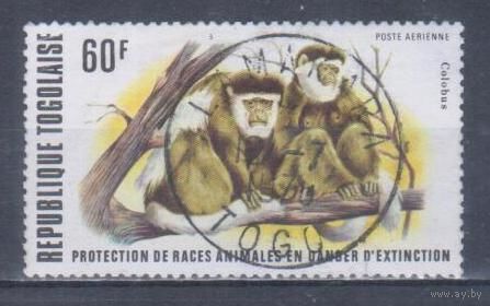 [2472] Того 1977. Фауна.Обезьяны. Гашеная марка. 1