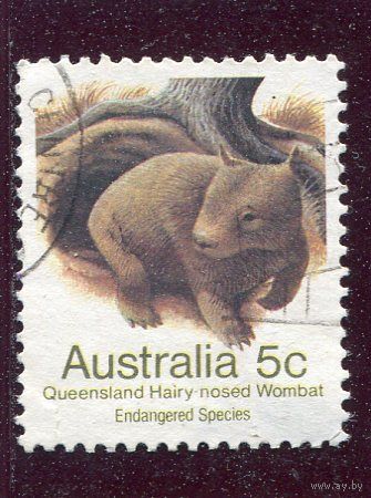 Австралия. Фауна