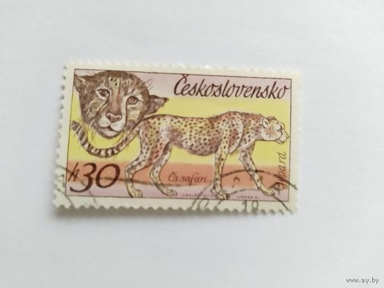 ЧССР  1976