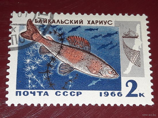 СССР 1966 Фауна. Промысловые рыбы Байкала