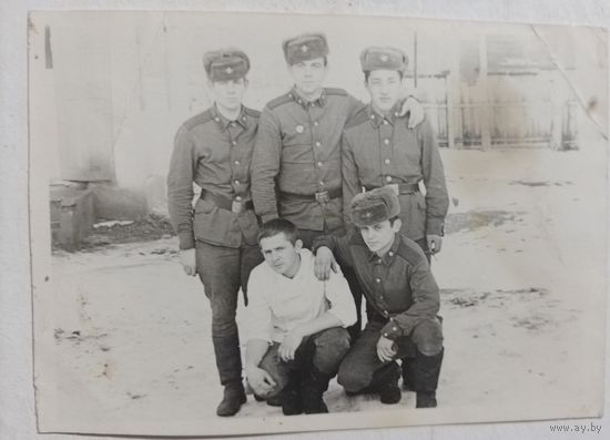 Фото в коллекцию