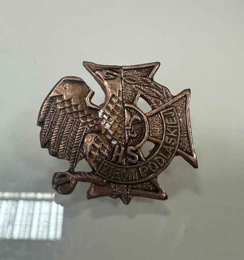Редкие нагрудный знак медаль Польша. Много Лотов с рубля