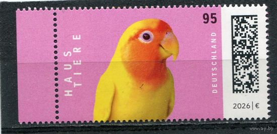 Германия. Фауна. Домашние питомцы. Попугай. Неразлучник