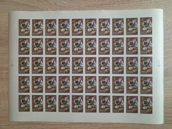 Лист 1964 г. Сельскохозяйственные культуры. Картофель