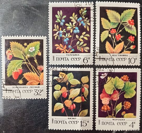 СССР 1982. Лесные ягоды. Полная серия