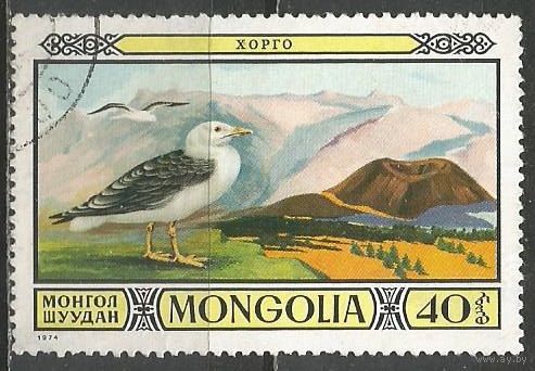 Монголия. Птицы. Чайка. 1974г. Mi#890.