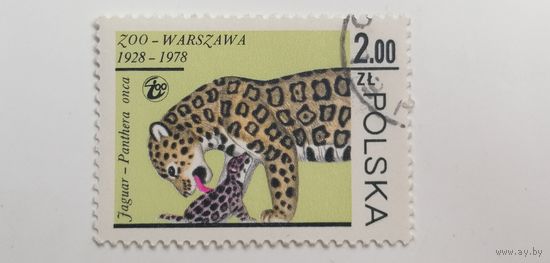 Польша 1978. Животные зоопарка