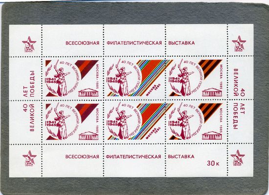 СССР, СУВЕНИРНЫЙ ЛИСТ СССР, 1985,  40 лет ПОБЕДЫ