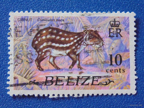 Белиз 1974 г. Фауна.