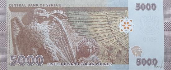 Werty71 Сирия 5000 фунтов 2019 UNC банкнота