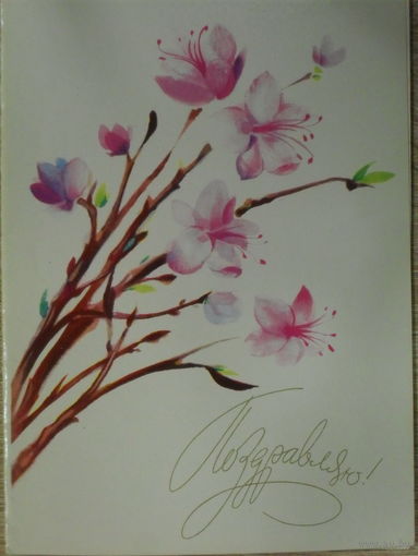 ДВОЙНАЯ ПОДПИСАННАЯ ОТКРЫТКА СССР.ПОЗДРАВЛЯЮ! худ. Н. КОРОБОВА. 1980 год.