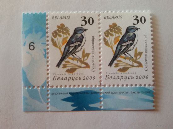 Беларусь. 2006. Девятый стандарт. Зак. 71-2006. Лист 6х7 (6). Пара с номером заказа (А053)