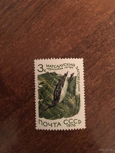 СССР 1976. Чернозобая гагара