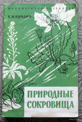 Е.И.Бундин Природные сокровища. ( о сборе дикорастущих лекарственных растений ).