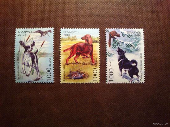 Беларусь 2010 г.Охотничьи собаки./п/