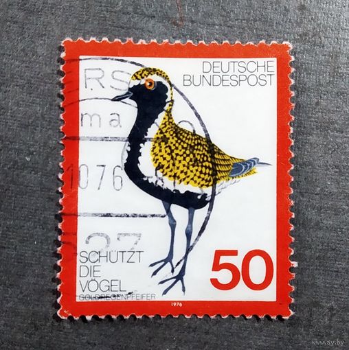 Марка Германия 1976 год Птица