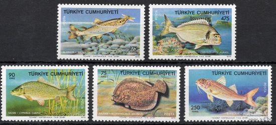 Турция 1975. Фауна Рыбы 5 марок (2369)