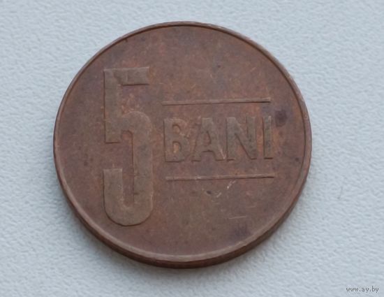 Румыния. 5 бани 2008 года.