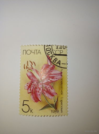 Марки СССР 1989 Цветы Лилия Прекрасная 5к.