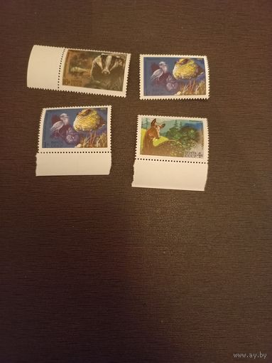 1975, Август. Фауна СССР