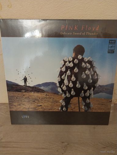 Pink Floyd / Пинк Флойд с рубля.Отличный.
