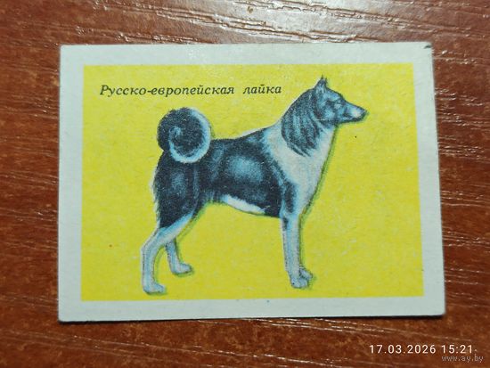 Спичечная этикетка Русско-европейская лайка