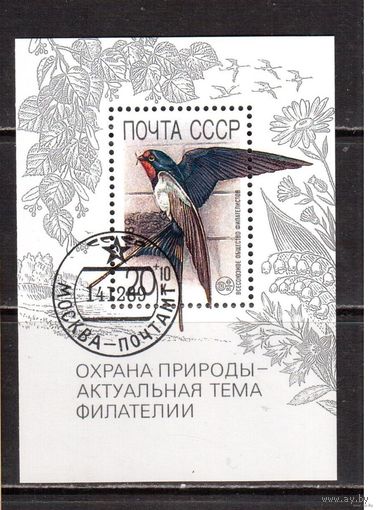 Блок СССР 1989. Охрана природы. Ласточка