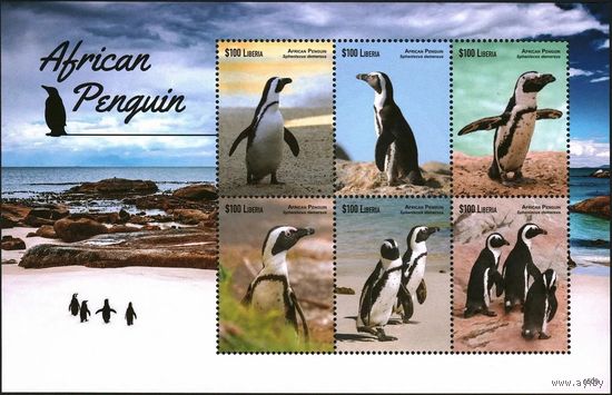 2015 Либерия 6625-6628KL Птицы - Пингвины 12,00 евро