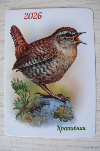 Календарик, 2026, Крапивник (птицы), изд. "Белпочта".