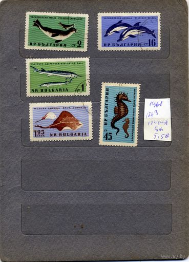 БОЛГАРИЯ, 1961,  РЫБЫ,  5м, гашен