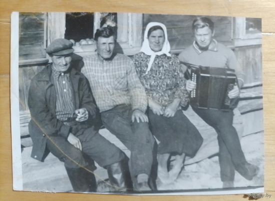 Фото в коллекцию