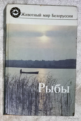 Рыбы. Животный мир Беларуси.