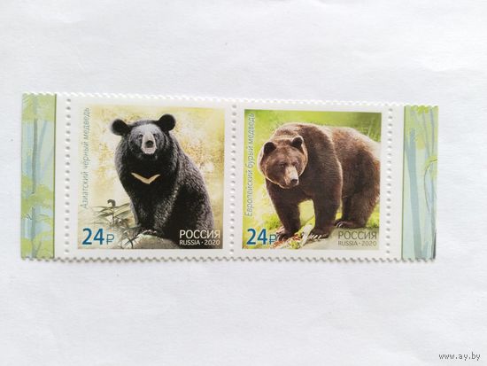 Россия  2020  2 м