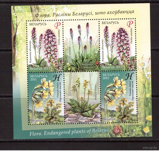 Беларусь-2011,(Мих.Бл.82)  Цветы