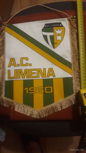 Вымпел спорт
