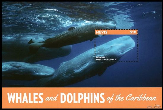 2014 Невис 3013/B364 Морская фауна - Киты 9,00 евро
